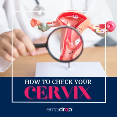 a magnifying glass with the words how to check your cervix