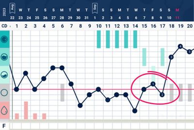 a screen shot of a computer screen with a graph on it