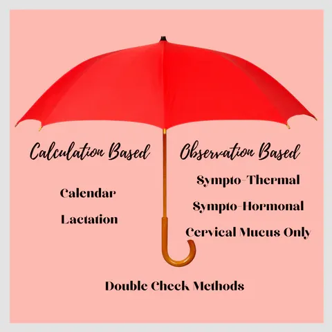 a red umbrella with the names of different types of umbrellas