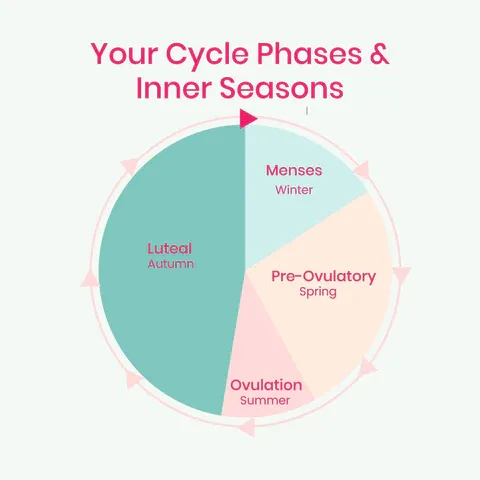 a pie with the words your cycle phases and inner seasons