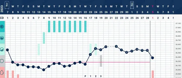 a screen shot of a calendar with a line graph