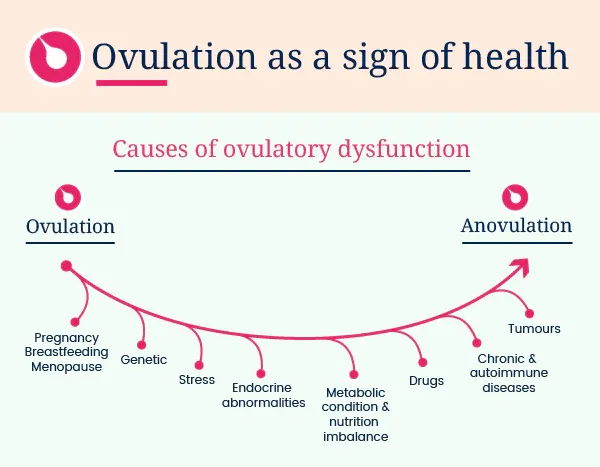 a diagram of ovulation as a sign of health