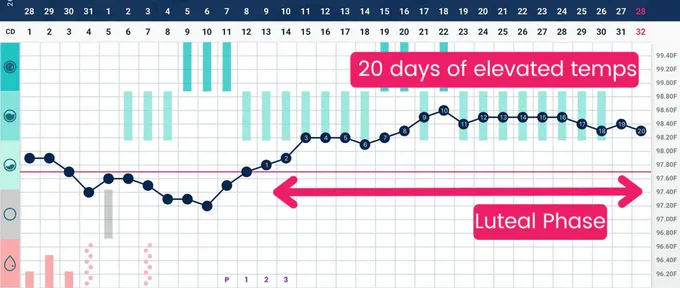 a screen shot of a pregnancy chart