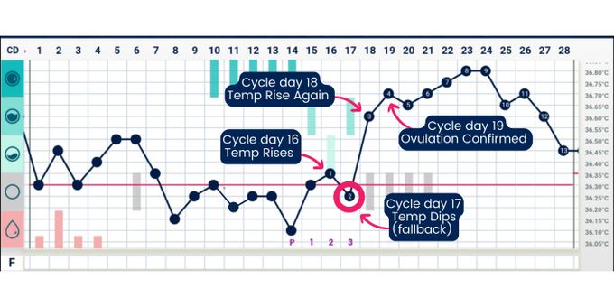 a chart with a line graph and a line graph on it