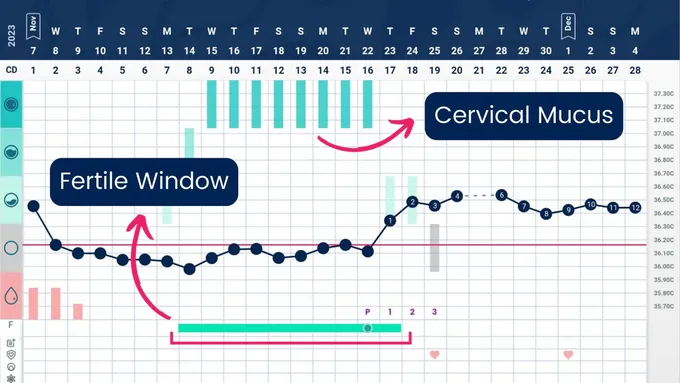 a screen shot of a computer screen with a chart and arrows