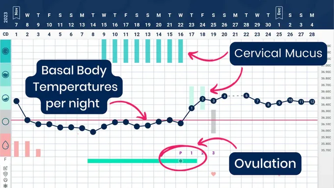 a diagram of a body temperature chart