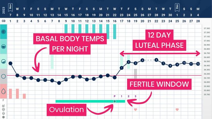 a screen shot of a calendar with a line graph