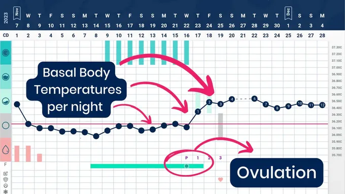 a diagram of a body temperature chart with arrows pointing in different directions