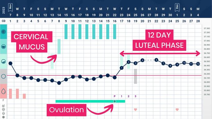 a calendar with a line graph and arrows