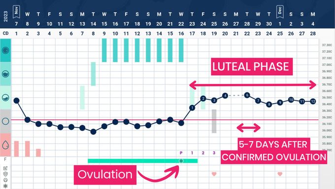a blue and pink calendar with a line graph