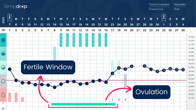 a screen shot of a computer screen with a window and a bar chart