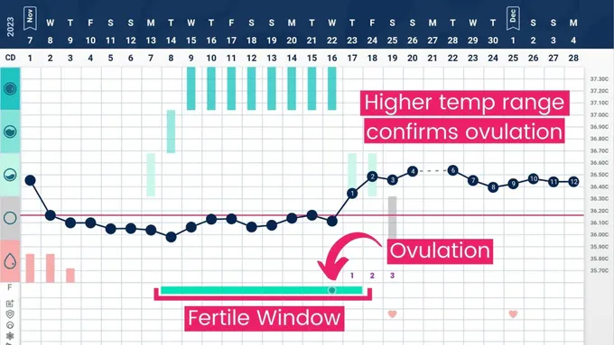 a screen shot of a computer screen showing a chart