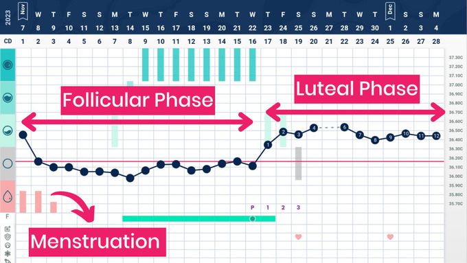 a screen shot of a calendar with a line graph