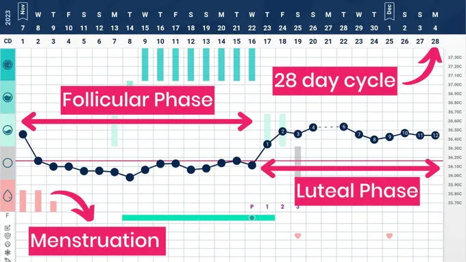 a screen shot of a calendar with a line graph