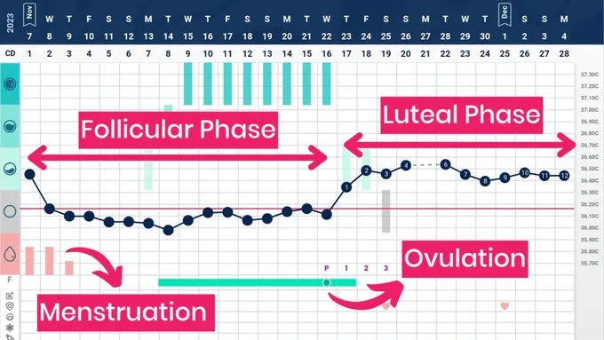 a screen shot of a calendar with a line graph