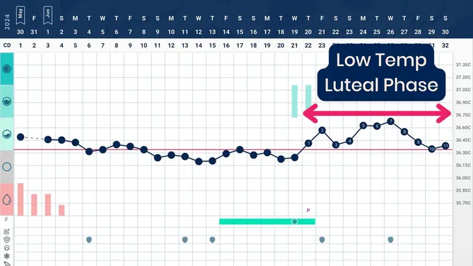 a line graph showing low temp and luteal phase