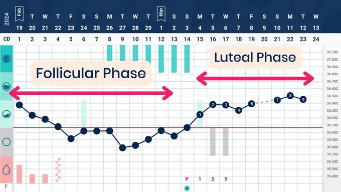 a calendar with a line graph and a line graph