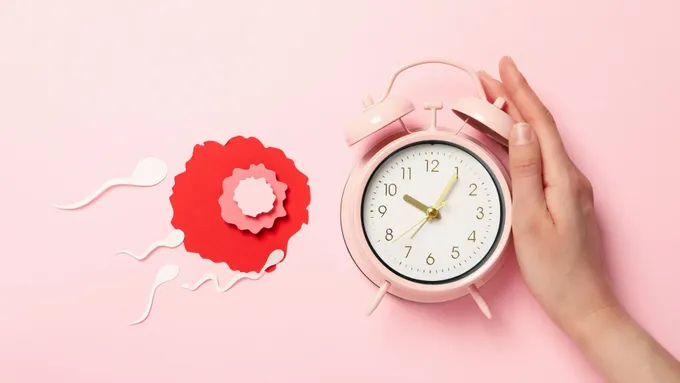 a pink alarm clock next to a red paper flower