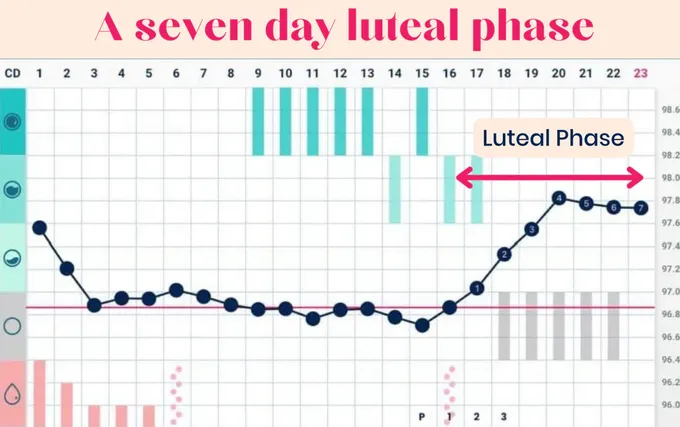 a line graph with a line graph and a line graph