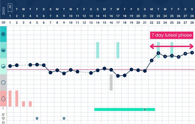 a screen shot of a calendar with a line graph