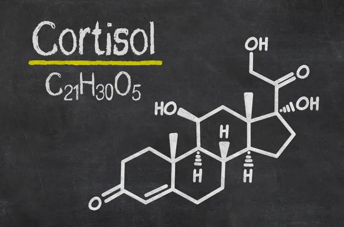 a blackboard with a drawing of a cortisol