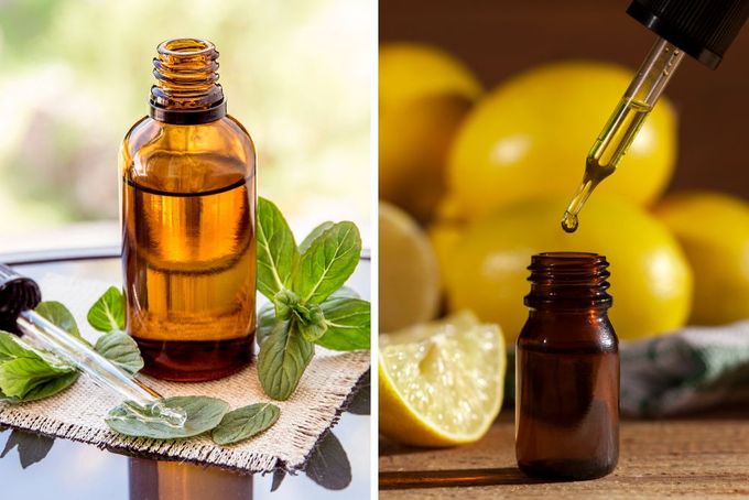 a bottle of lemon essential oil next to a bottle of lemon essential oil