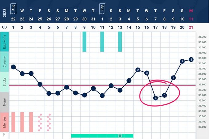 a screen shot of a calendar with a line graph