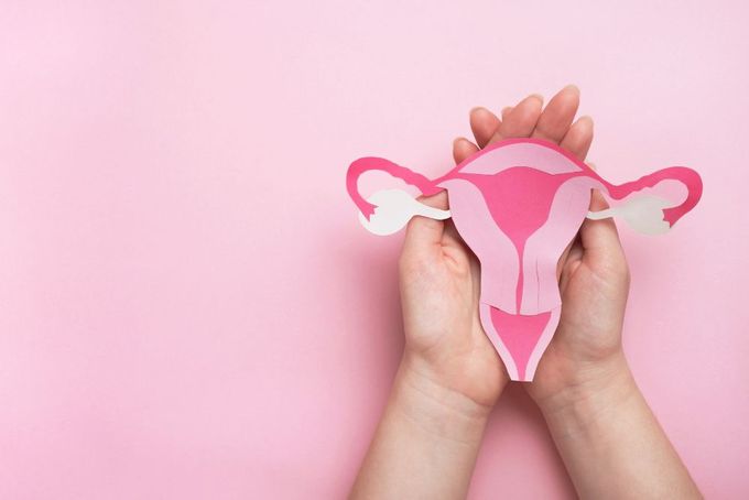 a person holding a paper cut out of a cow's head