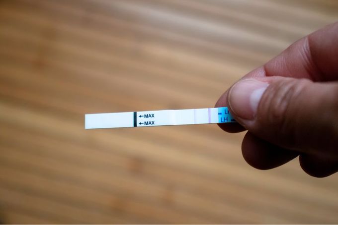 a person holding a small white and blue stick