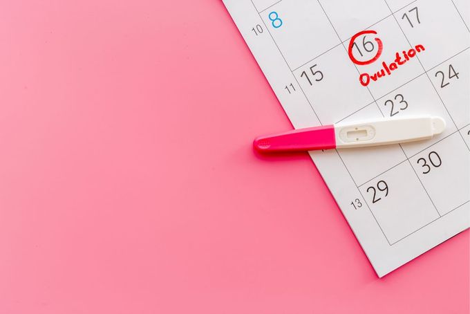 Ovulation on calendar and pregnancy test 