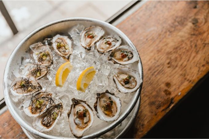 Oysters
