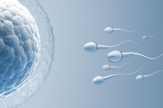 an image of a cell inside of a cell