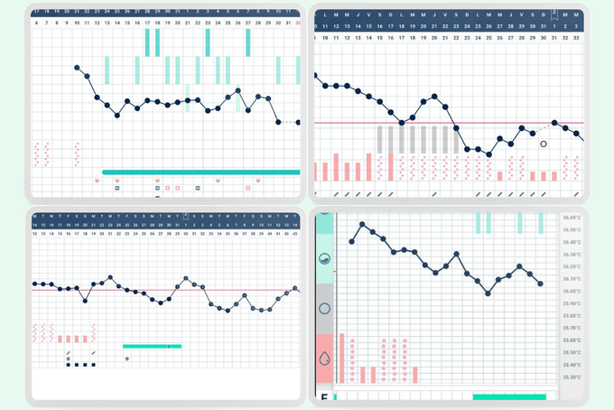 our digital screens displaying different Tempdrop basal body temperature (BBT) charts, showing cycle irregularities and variations after a pregnancy loss.