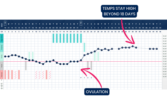 A Tempdrop fertility chart showing ovulation and pregnancy