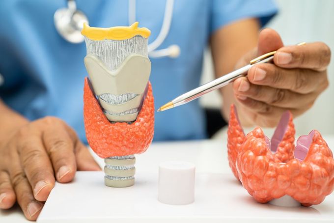 a person holding a pair of scissors near a vase