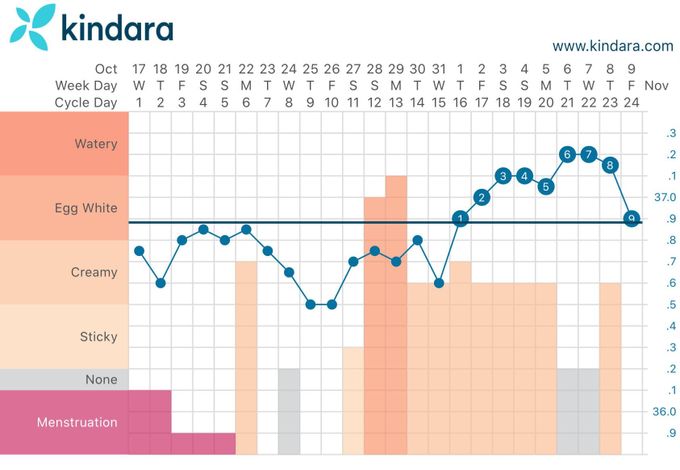 a calendar with a line graph on it