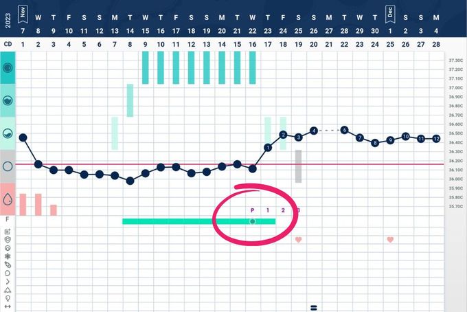a screenshot of a computer screen with a line graph