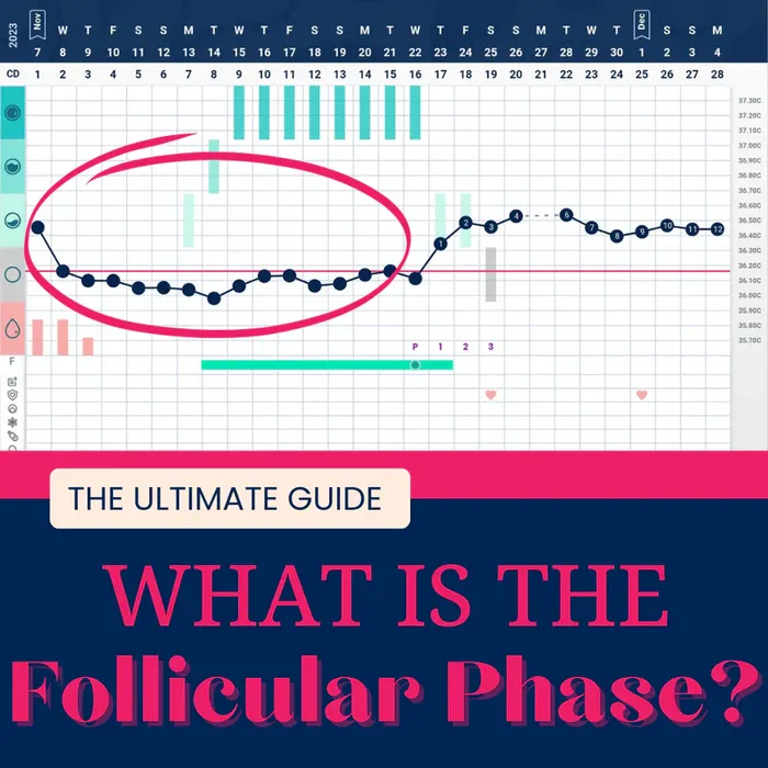 the ultimate guide to what is the popular phase?