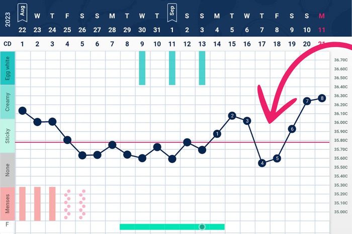 a line graph with a red arrow pointing upward