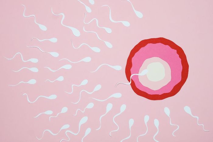 a painting of a red and white umbrella on a pink background