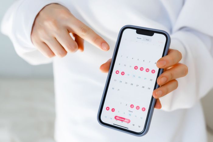 a person holding a cell phone with a period calendar on it