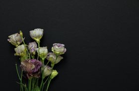 Different Flowers to Carry When Visiting a Funeral