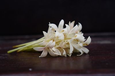 A small bunch of white jasmine flowers with their green stalks and yellow stamens poking out on a dark brown, wooden table, against a black background. 