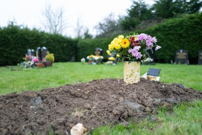 Plants resting on a natural grave