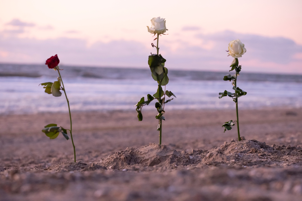 3 roses in sand with a mass of water in the background